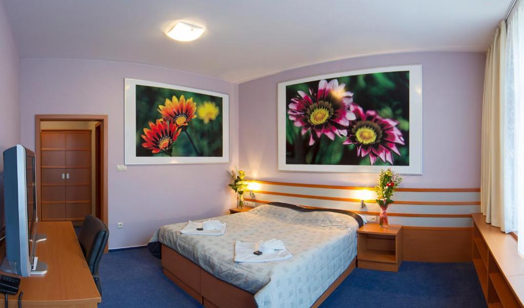 Hotel Air Holíč Pokoj fotografie